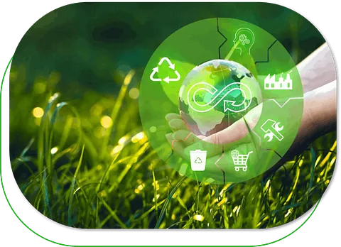 Switch Eco