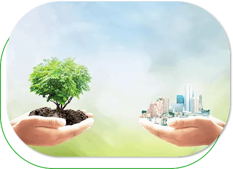 Switch Eco